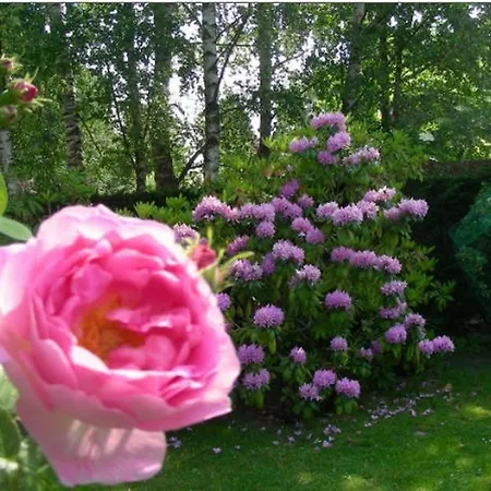 A La Maison Du Heron Bed and Breakfast